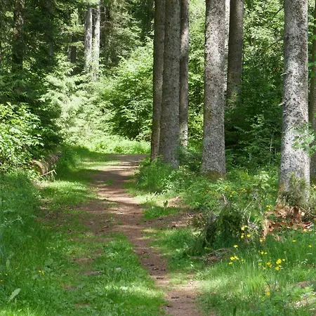Fewo Furtwangen * Furtwangen