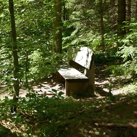 Apartment Fewo Furtwangen *