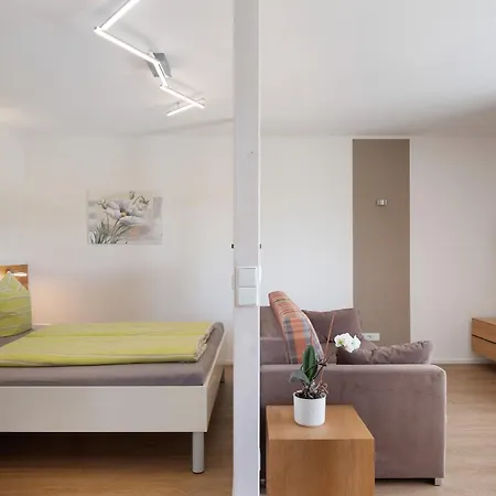 Fewo Furtwangen Apartment Furtwangen