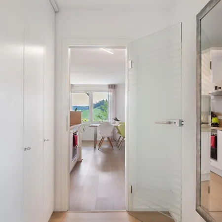 Apartment Fewo Furtwangen *